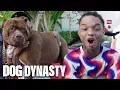 Swae Lee Battles Hulk In Miami DOG DYNASTY