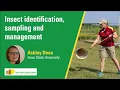 Insect identification sampling and management