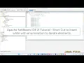 Apache NetBeans IDE 21 Tutorial - Short Cut to insert While with Enumeration