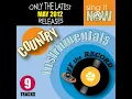 Wanted (Instrumental Version)