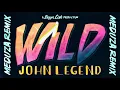 Wild (MEDUZA Remix - Official Audio) - John Legend