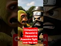 Download Lagu Chimpanzini Bananini \u0026 Cappuccino Assassino fight over toy cars