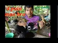 Download Lagu mikat kapas tembak menggunakan jaring || cara pikat kapas tembak sumatra