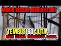 Download Lagu SUARA SENI IRAMA PERKUTUT NGEPAT PAKEM MATARAM HARGA 60 JUTA