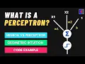 What is a Perceptron Perceptron Vs Neuron Perceptron Geometric Intuition