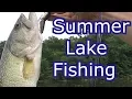 Catching all the Main Midwest Fish Species - Summer Lake Fishing