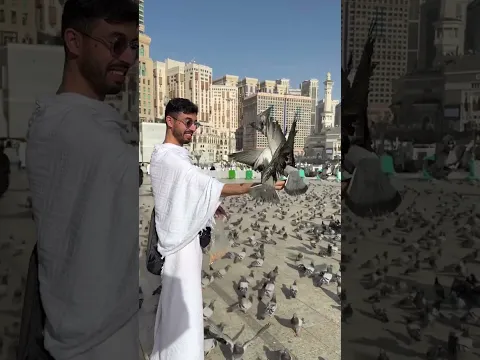 حمام الحرم ❤️🕊️