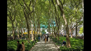 Bryant Park Webcam