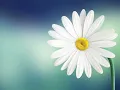 Closer You And I (Gino Padilla) with Lyrics