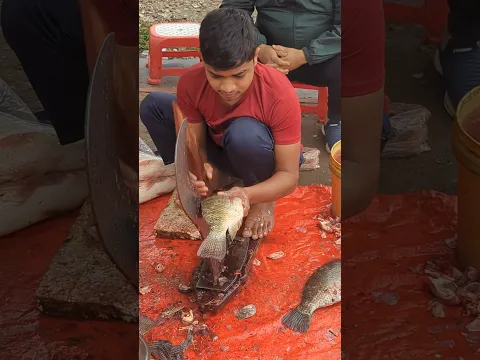 Very Amazing Big Fish Cutting Skills #shorts
