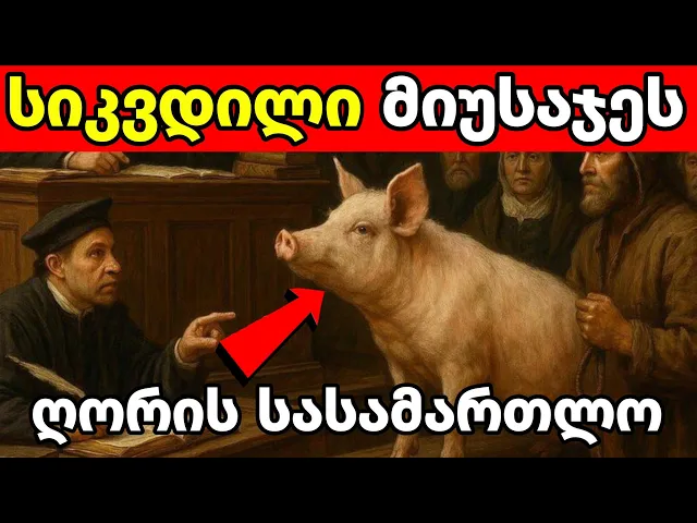 25 ძალიან საინტერესო ფაქტი ისტორიიდან ( ნაწილი 15 )