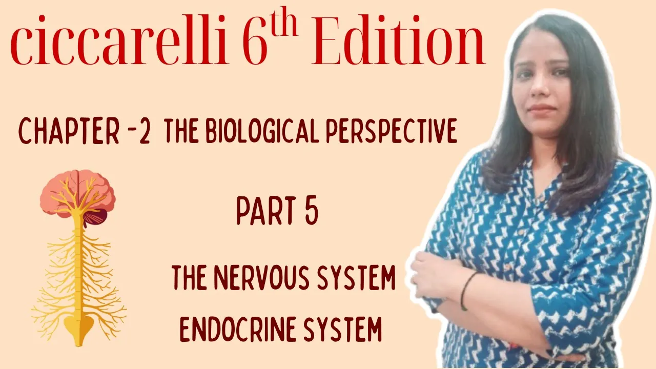 Ciccarelli 6th Edition | Ciccarelli chapter 2 | The Biological Perspective | Nervous System |