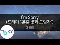 Download Lagu I'm Sorry(드라마 \
