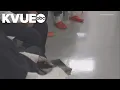 Hays County Jail offering help to inmates in order to reduce chances for recidivism