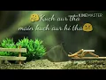 Download Lagu Kuch aur tha main kuch aur hi tha  ll Romantic WhatsApp status Hindi