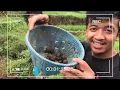 Download Lagu Si Bolang - Opening Rap (Unofficial Music Video)