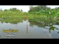 Download Lagu SAMA SEKALI TAK TERJAMAH!! Pesta strike mancing nila di spot kangkung