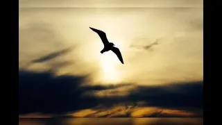 تتر يونس ولد فضة 