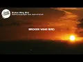 Kashus Culpepper - Broken Wing Bird (feat. Sierra Ferrell) (Lyrics)