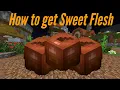 How to get Sweet Flesh Hypixel Skyblock