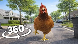 Angry Chicken Chase (360° POV)