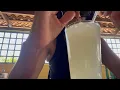 Cantina Restaurant Food Review