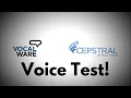 Vocalware And Cepstral Voice Test in Wrapper Offline 2 0 0 Beta