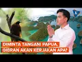 Download Lagu Gibran Diminta Prabowo Urus Papua, Apa Saja Tugasnya?