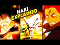 If You Don t Understand Haki WATCH THIS Complete Guide