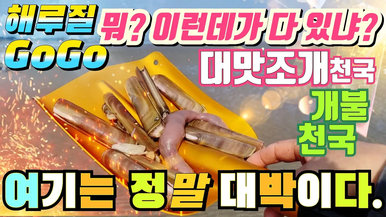 関連動画 サムネイル