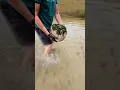42 000 000 years this mysterious ball was under water I found it and saw gold inside