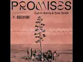 Promises - Calvin Harris & Sam Smith