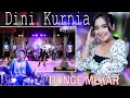 Download Lagu DHONGE MEKAR ~ Dini Kurnia   |   Banyuwangi Song - Panjak Osing