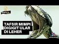 Download Lagu TAFSIR MIMPI DIGIGIT ULAR DI LEHER