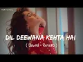 🎧Slowed and Reverb Songs   Dil Deewana Kehta Hai   RAJIB 801