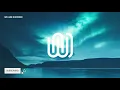 SRTW & Buchs - Into the Night (feat. Baked Moon)