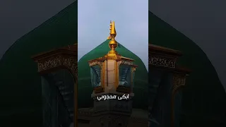 لاتلوموني دندنها