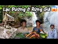 Download Lagu Bị Lạc Trong Rừng Già Cùng Vũ Trụ Vlogs–Khám Phá Thác Cao Nhất Tây Nguyên