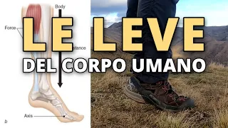 [PdM] Le leve del corpo umano sulla Rocca Patanua