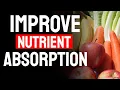 Improve Nutrient Absorption From Food - 5 Simple Ways to Absorb More Nutrients