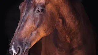 عبدالمنعم طلب     قلبي من فراقك تدري والله ذايب    دندنها