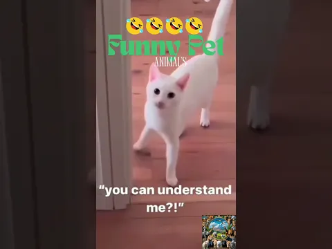 Funny Pet Animals fails 😆#animalshorts #animals #funny