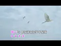 隱形的翅膀樂團伴奏歌詞《Karaoke》