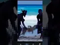 Alejandro gonzalez cancun remains
