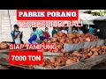 Download Lagu Pabrik porang terbesar dibali,Siap tampung 7000 Ton