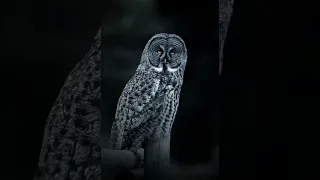 يعرف روحه اكسبلور جوريا دويتو جوارب لايك ايقنت تصميم فيديوهات اهميه تصميمي اعتني 