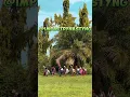 Download Lagu Ojavibes (part a)