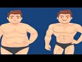 Fat loss without tracking calories NO BULLSH T GUIDE TO FAT LOSS