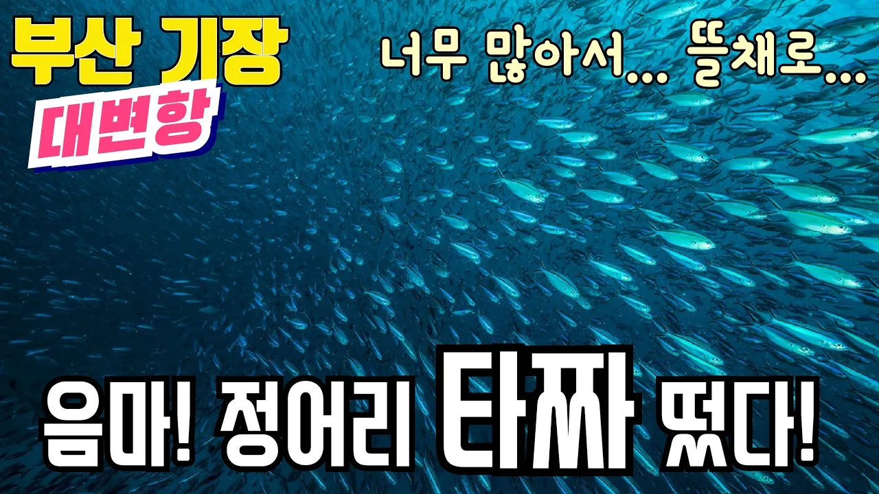 관련 영상 썸네일