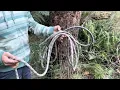 Anchor wrap 3 pull 2